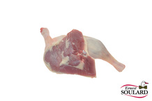 Cuisse de canette de Barbarie VF